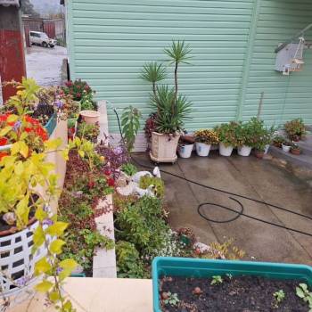 Сдается Дом, 60 м²