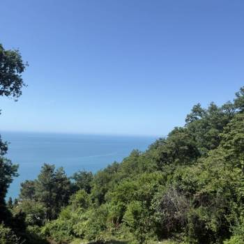 Продается Участок, 660 м²