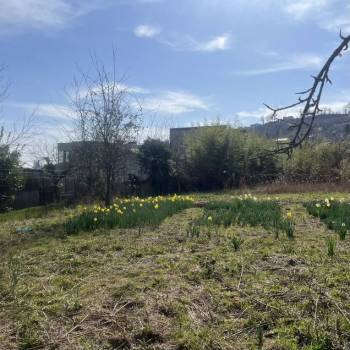 Продается Участок, 900 м²