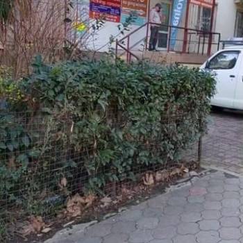 Сдается Нежилое помещение, 19 м²