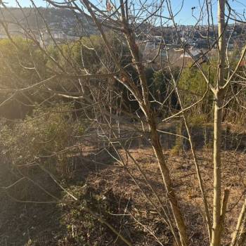 Продается Участок, 700 м²