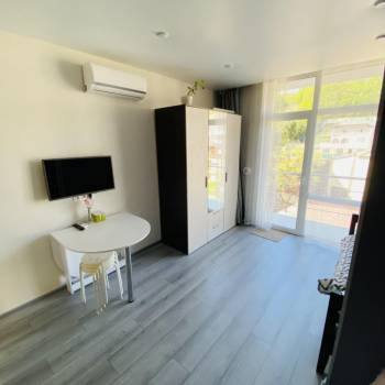 Продается 1-комнатная квартира, 24,5 м²