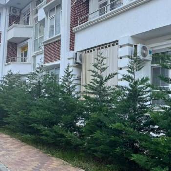 Продается 1-комнатная квартира, 19,3 м²