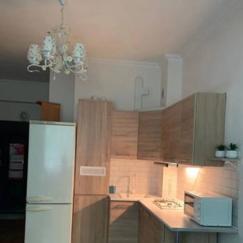 Сдается 1-комнатная квартира, 24,1 м²
