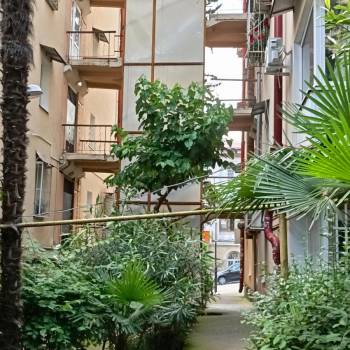 Сдается 1-комнатная квартира, 24 м²