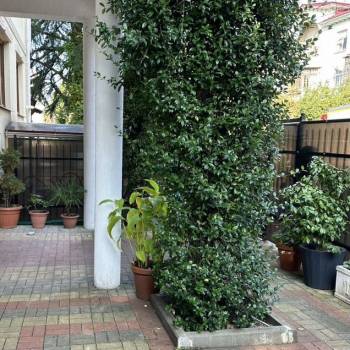 Сдается 2-х комнатная квартира, 52,9 м²