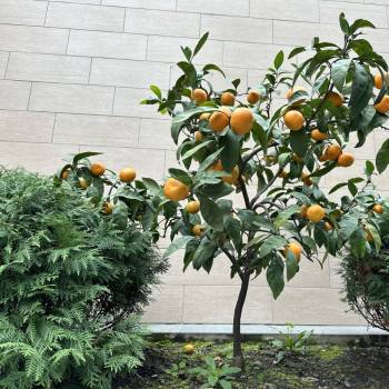 Продается Дом, 400 м²