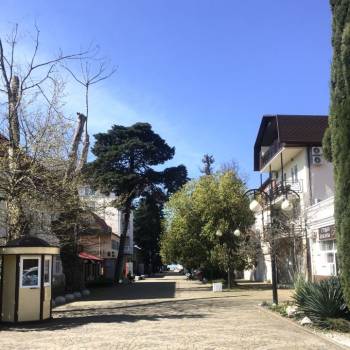 Сдается 2-х комнатная квартира, 48 м²