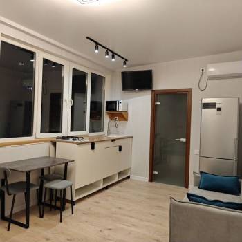 Сдается 1-комнатная квартира, 30,5 м²