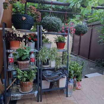 Сдается Комната, 12 м²