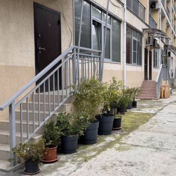 Сдается 1-комнатная квартира, 54 м²