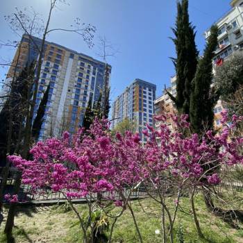 Продается 1-комнатная квартира, 28 м²