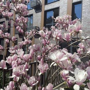 Продается 1-комнатная квартира, 20 м²