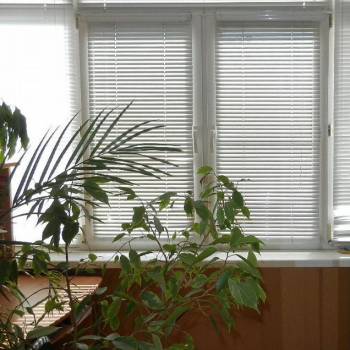 Сдается 2-х комнатная квартира, 57 м²