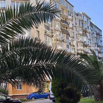 Сдается 1-комнатная квартира, 26 м²