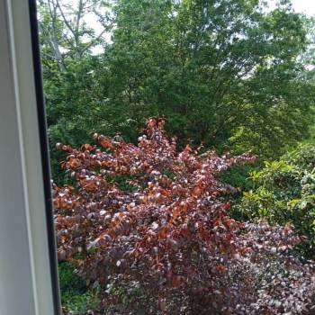 Продается 1-комнатная квартира, 29 м²