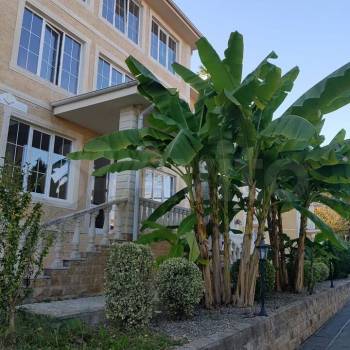 Сдается 2-х комнатная квартира, 80 м²