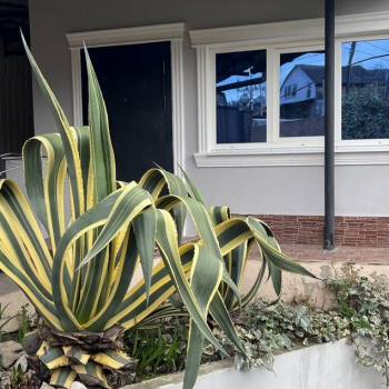 Сдается Комната, 40 м²