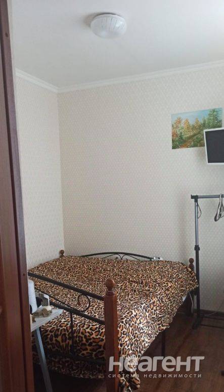 Фотография №3