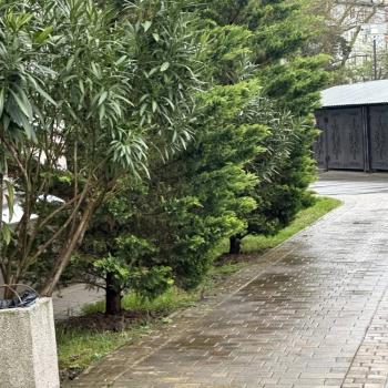 Продается 3-х комнатная квартира, 62 м²