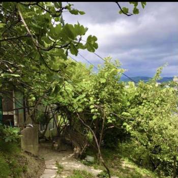 Сдается Комната, 15 м²