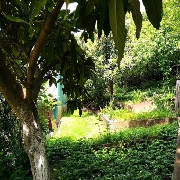 Продается Дом, 55,3 м²