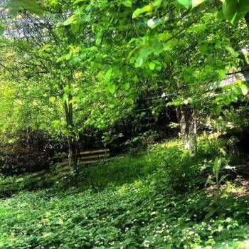 Продается Дом, 55,3 м²