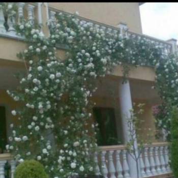 Сдается Дом, 353 м²