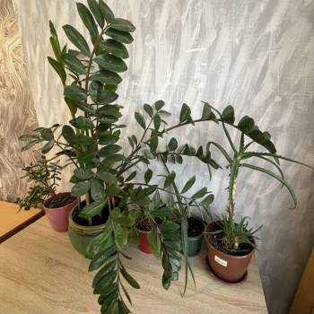 Сдается 1-комнатная квартира, 32,2 м²