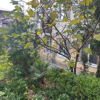 Продается 1-комнатная квартира, 19,6 м²