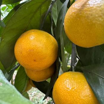 Продается Дом, 110 м²