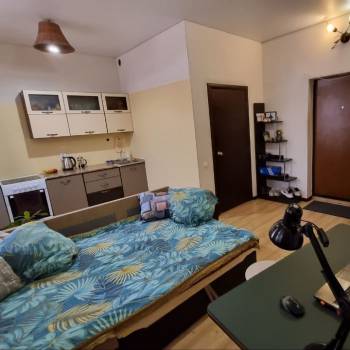 Продается 1-комнатная квартира, 24,6 м²