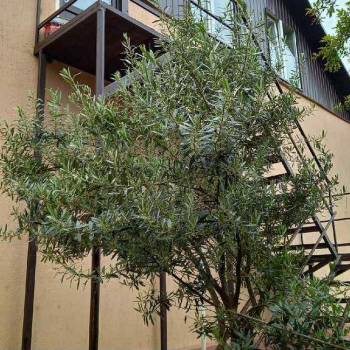 Сдается 2-х комнатная квартира, 33 м²