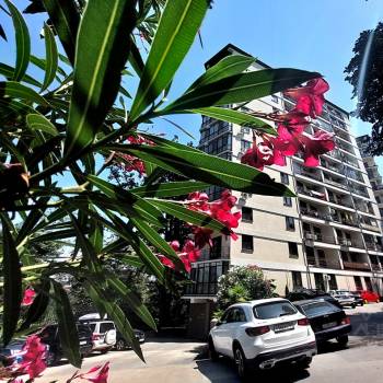 Сдается Многокомнатная квартира, 47 м²