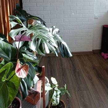 Продается 2-х комнатная квартира, 52 м²