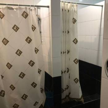 Сдается Дом, 204 м²