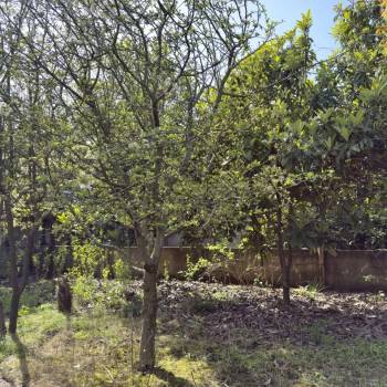 Продается Участок, 700 м²