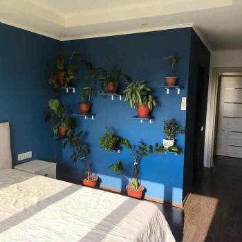 Сдается 2-х комнатная квартира, 48,4 м²