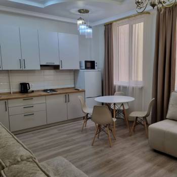 Сдается 1-комнатная квартира, 30,2 м²