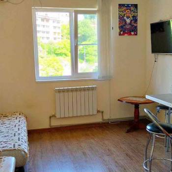 Сдается 1-комнатная квартира, 24 м²