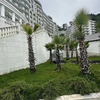 Продается 1-комнатная квартира, 24,8 м²