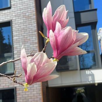 Продается 1-комнатная квартира, 29 м²