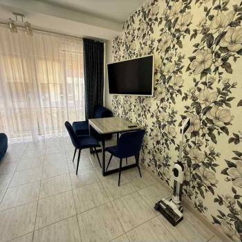 Сдается 1-комнатная квартира, 25,1 м²