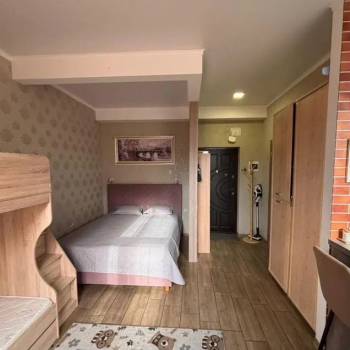 Продается 1-комнатная квартира, 26,6 м²