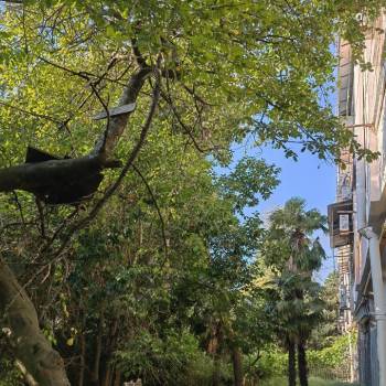 Продается 2-х комнатная квартира, 44 м²