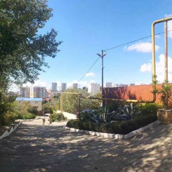 Сдается 1-комнатная квартира, 31,4 м²