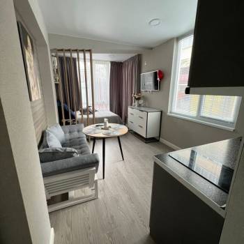 Сдается 1-комнатная квартира, 24 м²