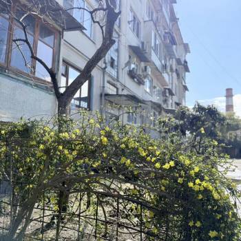Продается 1-комнатная квартира, 31,4 м²