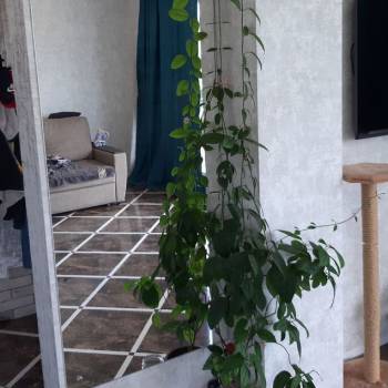 Продается Дом, 180 м²