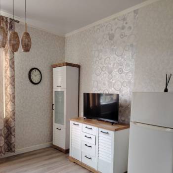 Сдается 1-комнатная квартира, 23,6 м²